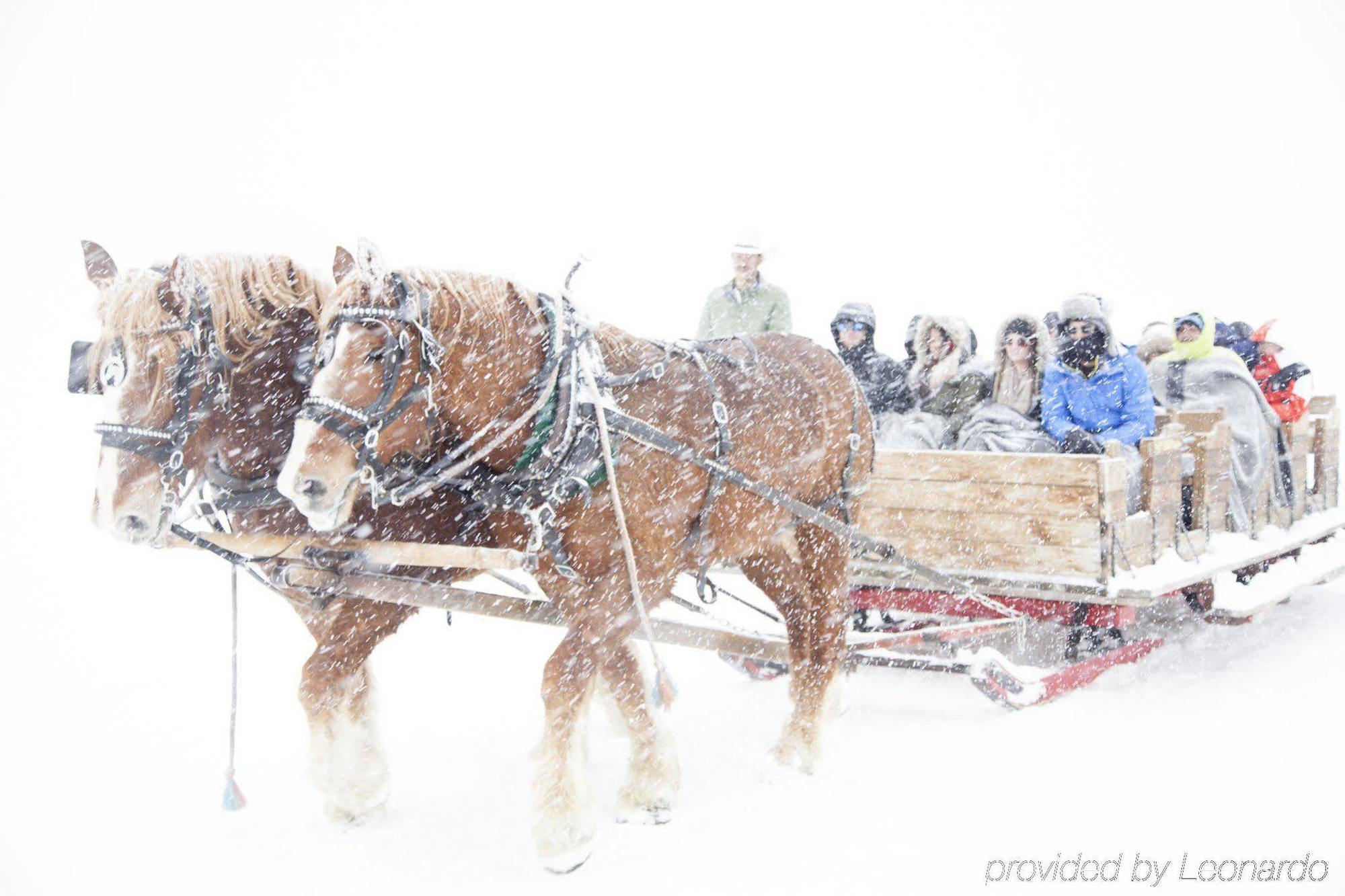 Stonebridge Inn, A Destination By Hyatt Residence Snowmass Village Eksteriør billede